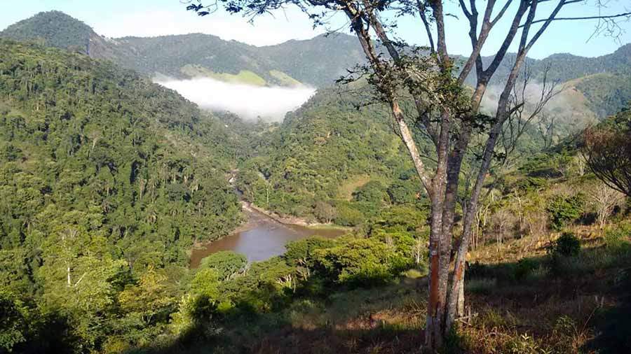 doalto