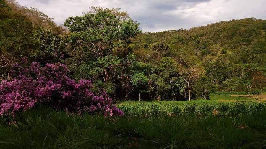 Conviver numa fazenda do século XXI, com uma comunidade unida nesse propósito