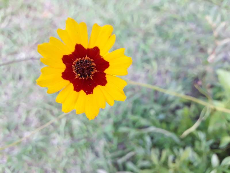 20180324_161059pq.jpg