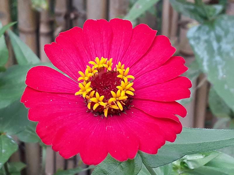 20180329_100131pq.jpg